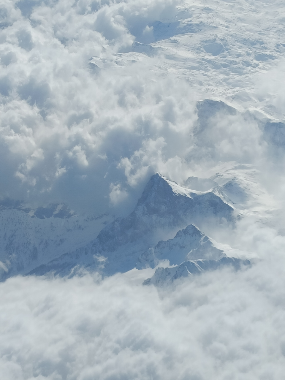 Apollo Plus team and inspection